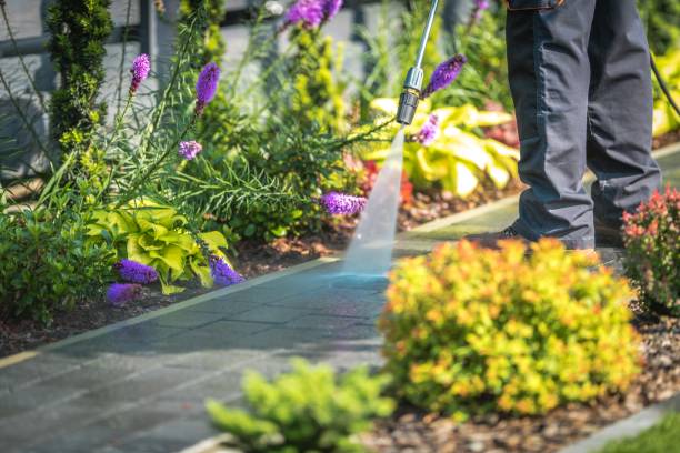 Best Patio and Deck Pressure Washing  in Thomaston, NY